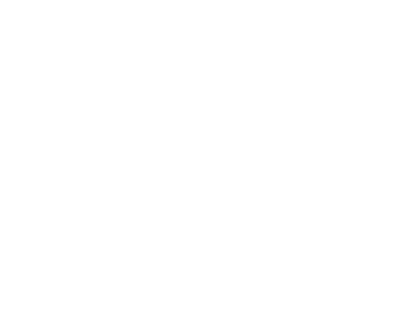 Burnout Garage Speed Shop